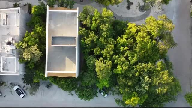 Anemona Commercial Building, Aldea Zama Tulum