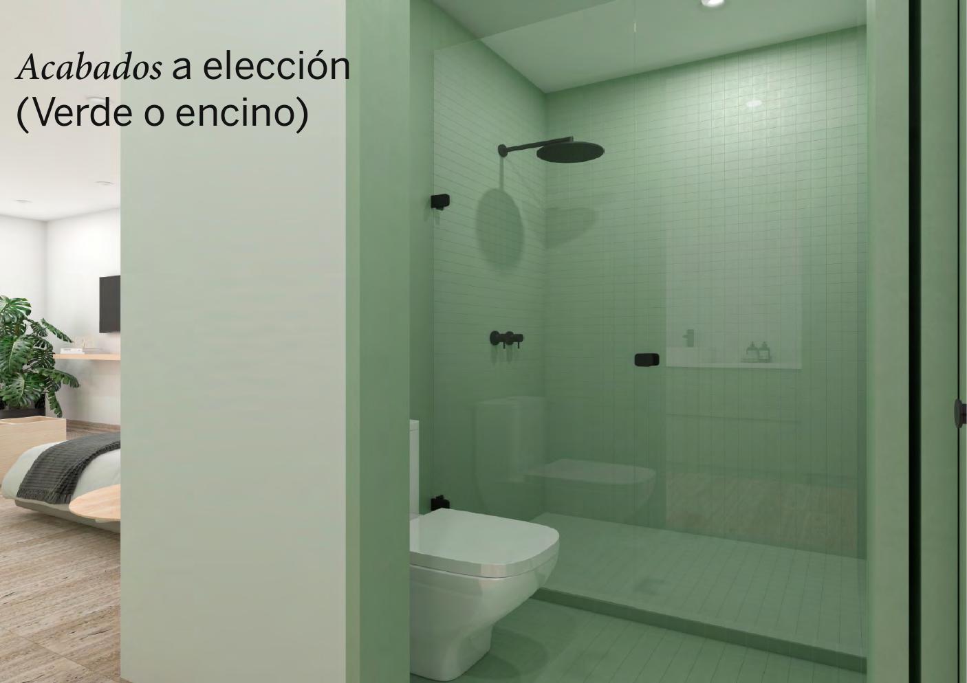 Baño, acabados a elección, Chapultepec 430