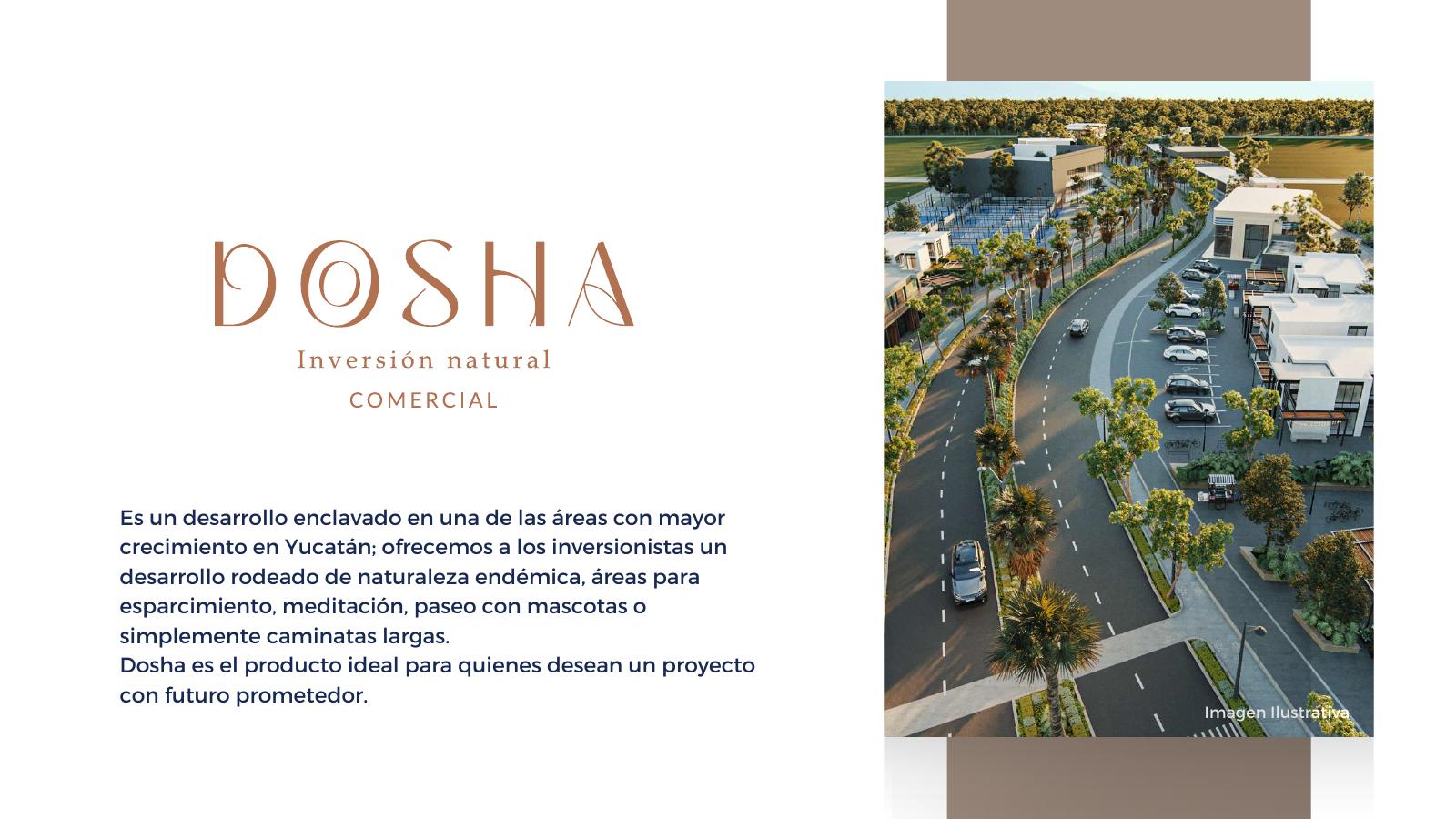 Avenida comercial, Dosha Comercial, Yucatán
