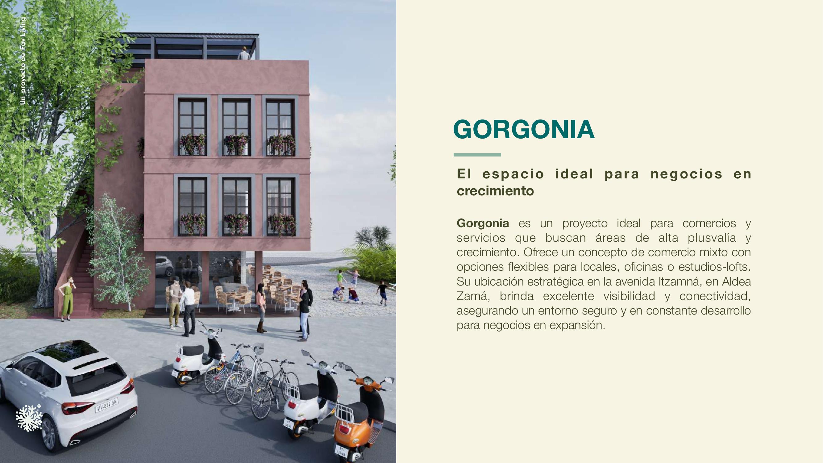 Gorgonia, Aldea Zamá, Tulum