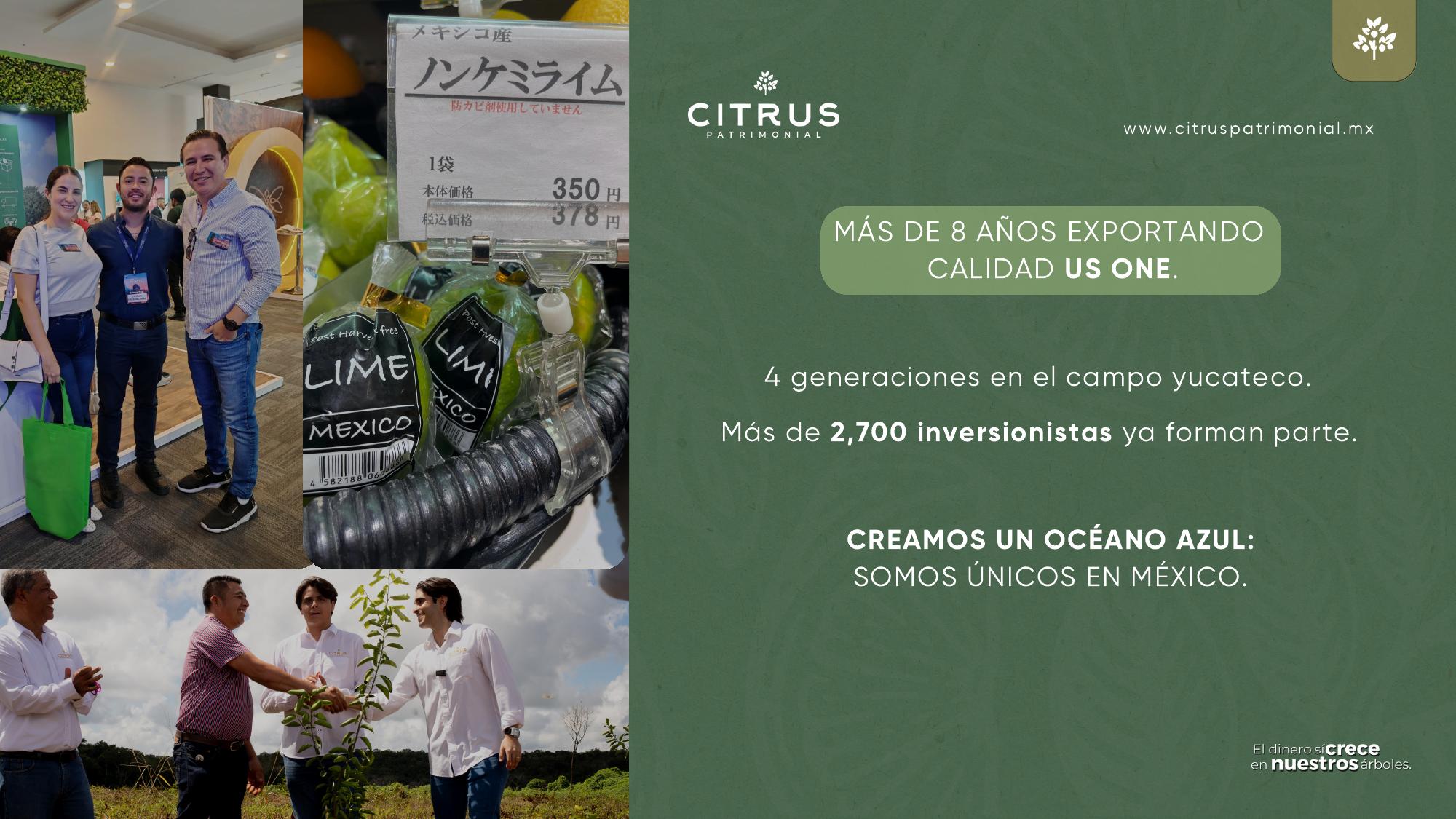 Equipo Citrus Patrimonial en campo y exportación