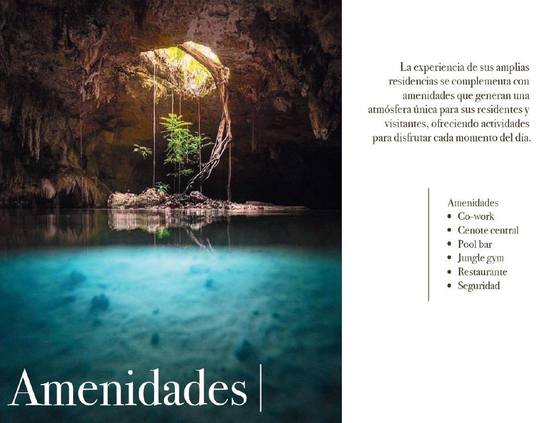 Le Reve Cenote - foto 6