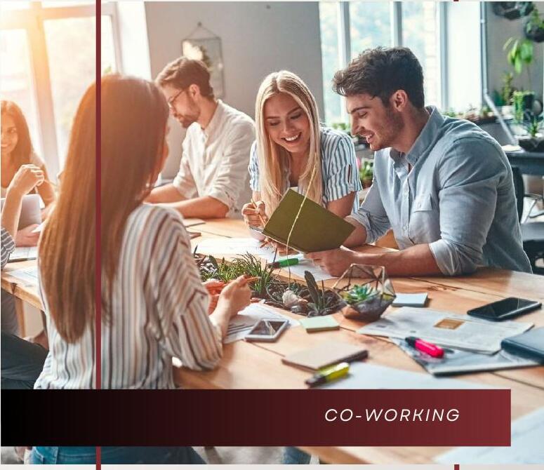 Área de co-working, Magnolia Chapultepec