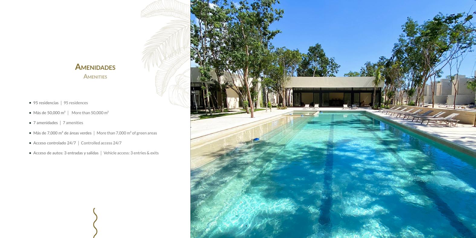 Alberca semiolímpica, Palmara Residencial
