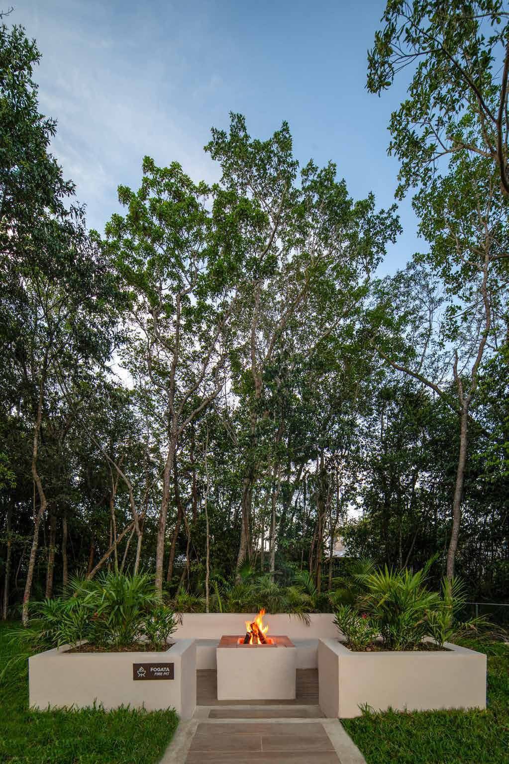 Fogata Selva Escondida