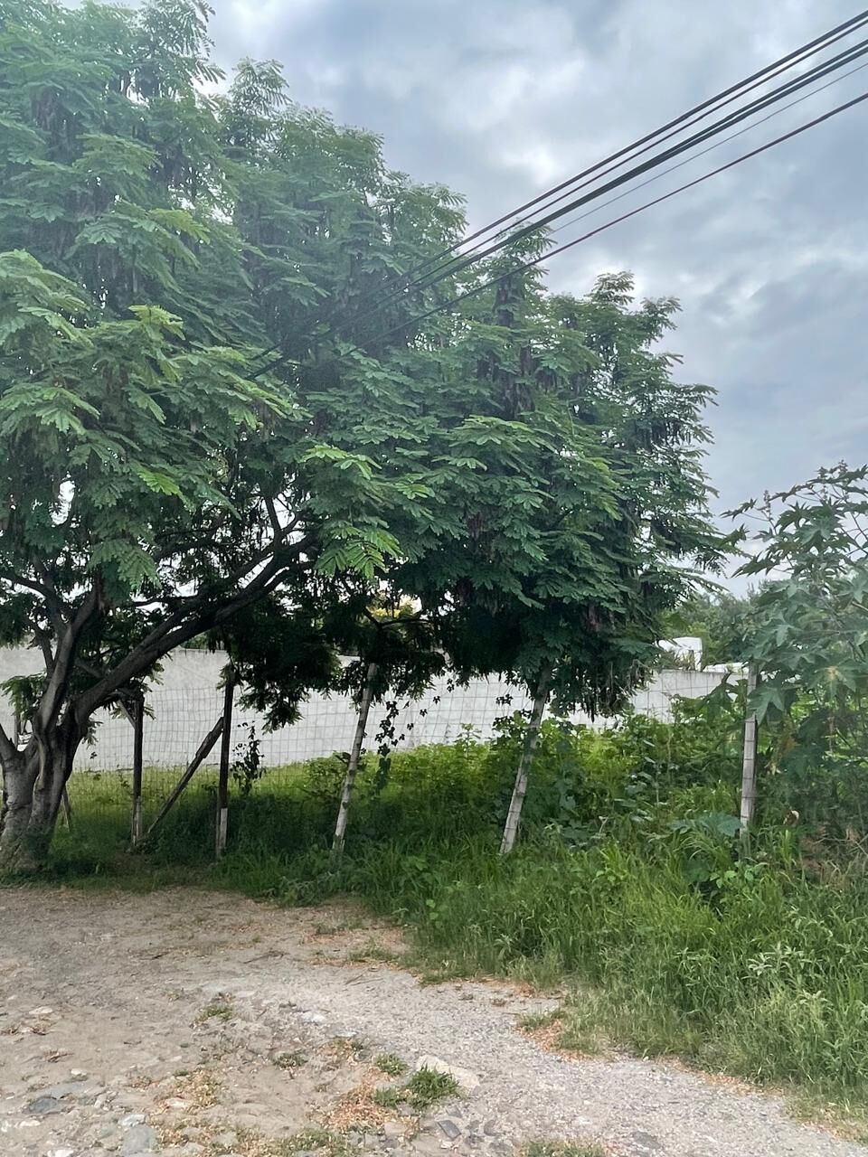 Terreno Villas del Mesón - foto 5