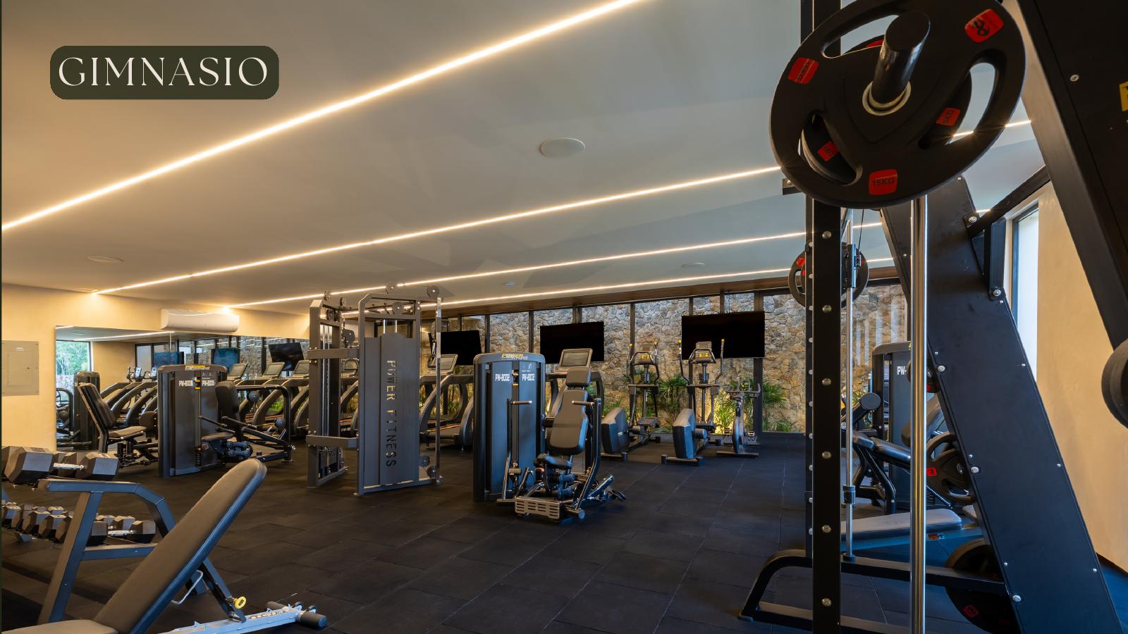 Gimnasio, El Santuario, Tierra Madre